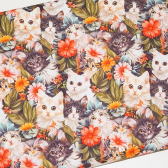 Tecido 3D Gatinhos Fofinhos