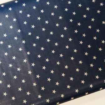 Plastificado Estrela